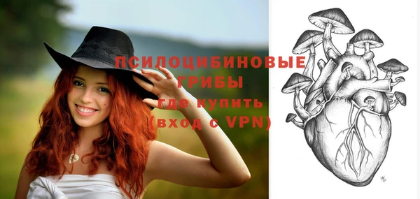 амф Бугульма