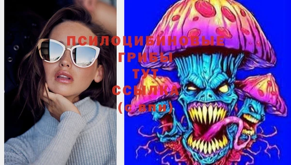 амф Бугульма