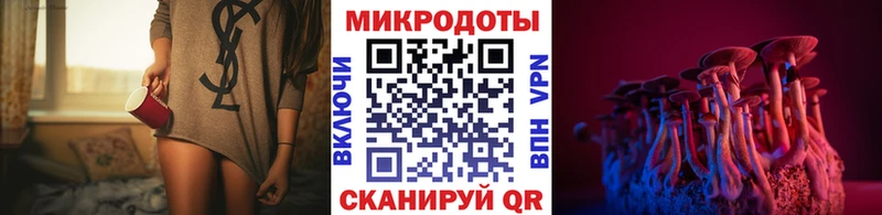 Купить где  Энгельс  Галлюциногенные грибы мицелий 